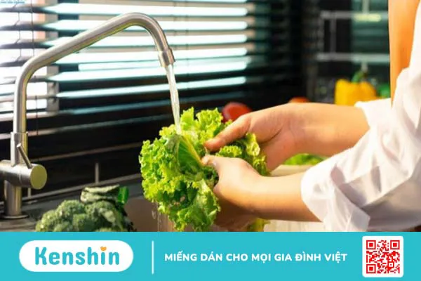 Chất xơ là gì? Cách sử dụng chất xơ đúng cách an toàn và hiệu quả