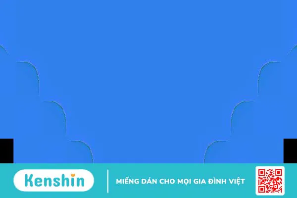 Chất xơ là gì? Cách sử dụng chất xơ đúng cách an toàn và hiệu quả