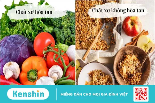 Chất xơ là gì, có mấy loại? Vai trò của chất xơ đối với cơ thể