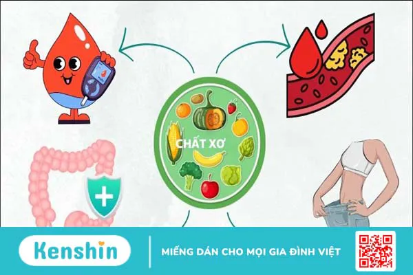 Chất xơ là gì, có mấy loại? Vai trò của chất xơ đối với cơ thể