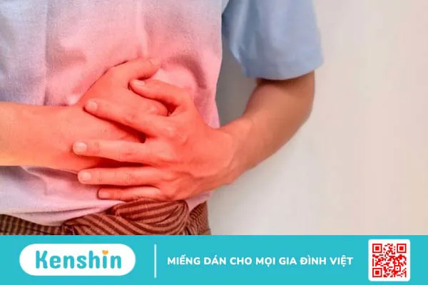 Chất xơ là gì, có mấy loại? Vai trò của chất xơ đối với cơ thể