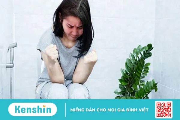 Chất xơ là gì, có mấy loại? Vai trò của chất xơ đối với cơ thể