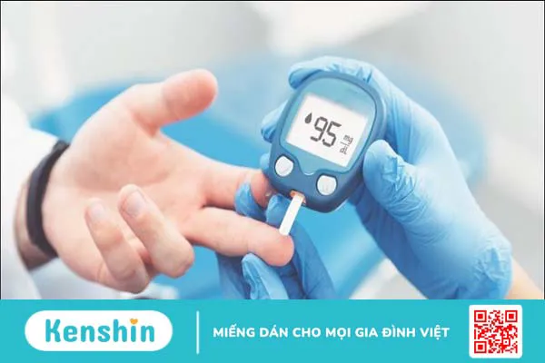 Chất xơ là gì, có mấy loại? Vai trò của chất xơ đối với cơ thể