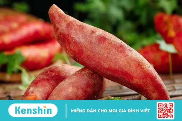 Chế độ dinh dưỡng cho bà bầu và các lưu ý khi ăn uống trong thai kỳ