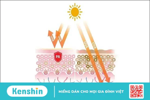 Chỉ số SPF bao nhiêu là tốt? Cách chọn kem chống nắng tốt cho làn da