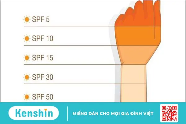 Chỉ số SPF bao nhiêu là tốt? Cách chọn kem chống nắng tốt cho làn da