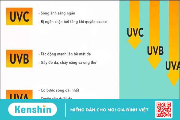 Chỉ số SPF, PA là gì? Cách đọc chỉ số kem chống nắng chị em nên biết