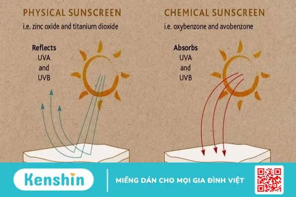 Chỉ số SPF, PA là gì? Cách đọc chỉ số kem chống nắng chị em nên biết