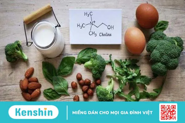 Choline là gì? 10 tác dụng của choline đối với cơ thể bạn cần biết