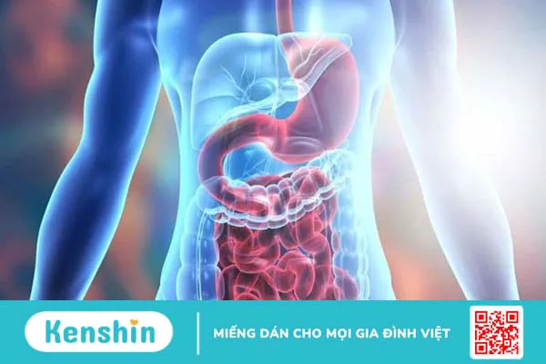 Chôm chôm có tác dụng gì? 17 tác dụng của chôm chôm và lưu ý khi ăn