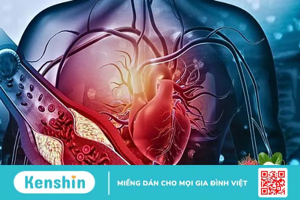 Chôm chôm có tác dụng gì? 17 tác dụng của chôm chôm và lưu ý khi ăn