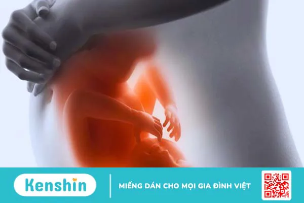 Chôm chôm có tác dụng gì? 17 tác dụng của chôm chôm và lưu ý khi ăn