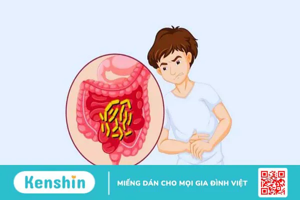 Chôm chôm có tác dụng gì? 17 tác dụng của chôm chôm và lưu ý khi ăn