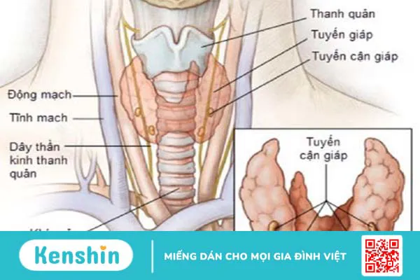 Chứng nghiến răng đêm ở trẻ em