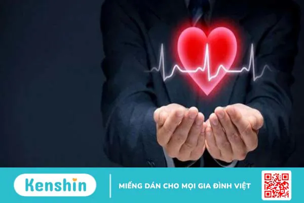 Cỏ lúa mạch là gì? Lợi ích sức khỏe và lưu ý khi sử dụng