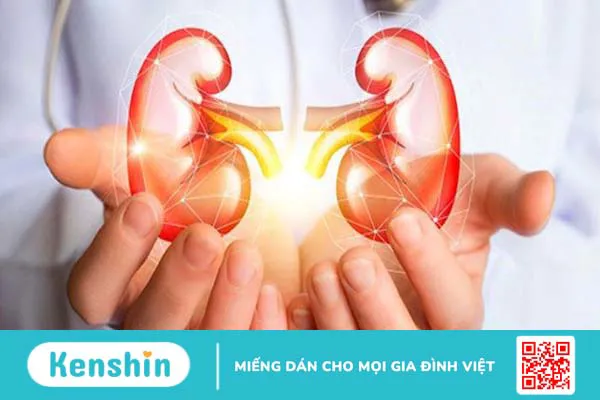 Cỏ mần trầu: Công dụng, cách dùng, lưu ý khi sử dụng