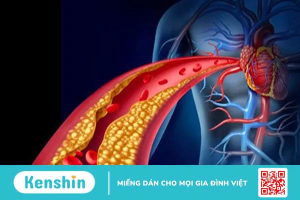 Cỏ mần trầu: Công dụng, cách dùng, lưu ý khi sử dụng