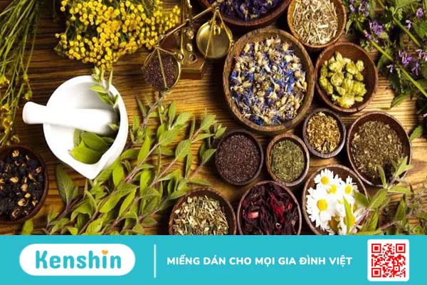 Cỏ mần trầu: Công dụng, cách dùng, lưu ý khi sử dụng