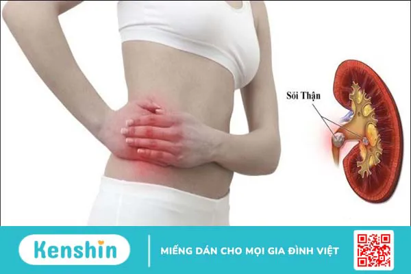 Cỏ mực có tác dụng gì? 12 tác dụng của cây cỏ mực (cỏ nhọ nồi)