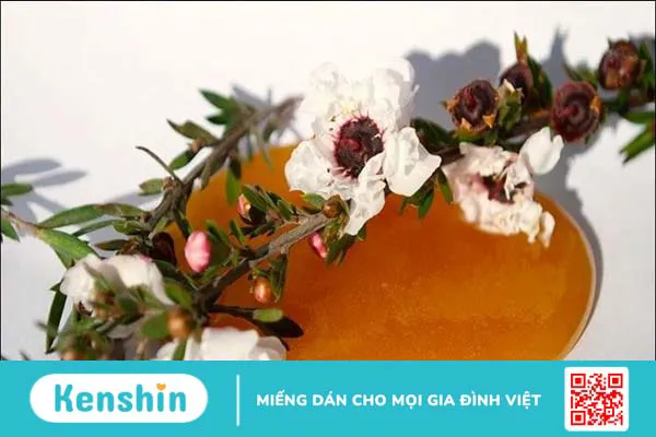 Có nên sử dụng mật ong manuka trị mụn không?