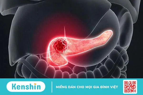 Cỏ ngọt là gì? 8 tác dụng của cỏ ngọt đối với sức khoẻ bạn nên biết