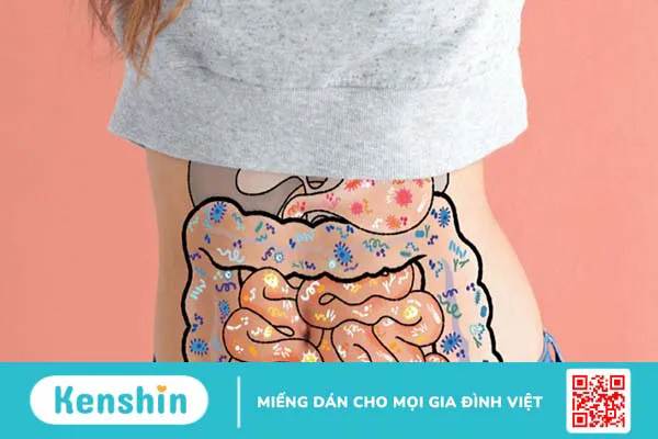 Cỏ ngọt là gì? Có nên sử dụng cỏ ngọt thay thế cho đường