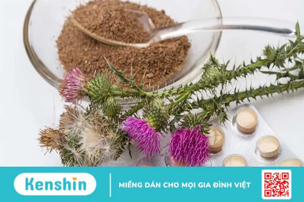 Có thể sử dụng Kế sữa (Milk Thistle) để điều trị bệnh về gan không?