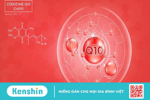 Coenzyme Q10 là gì? 12 tác dụng, cách dùng, thực phẩm chứa Coenzyme Q10