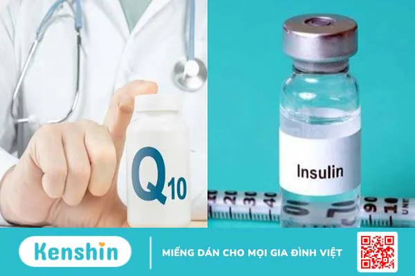 Coenzyme Q10 là gì? 12 tác dụng, cách dùng, thực phẩm chứa Coenzyme Q10