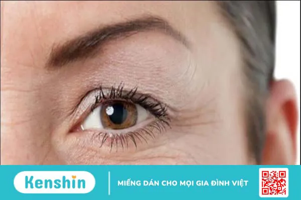 Collagen có tác dụng gì cho da? 10 loại collagen bán chạy tại Kenshin