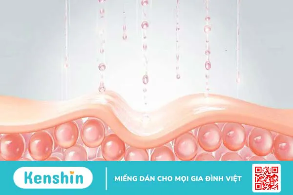 Collagen có tác dụng gì cho da? 10 loại collagen bán chạy tại Kenshin