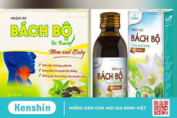 Công dụng chữa ho của bách bộ