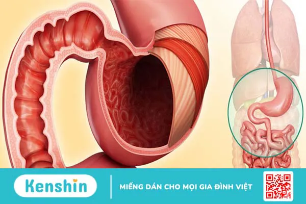 Công dụng của canxi nano đối với tăng chiều cao của trẻ em