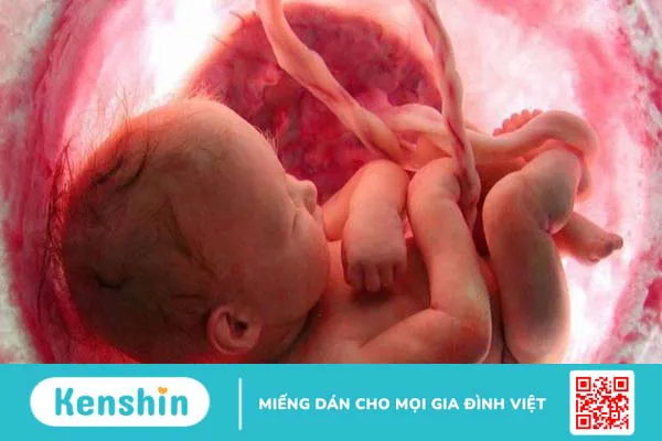 Công dụng và cách dùng Vitamin B6 cho bà bầu