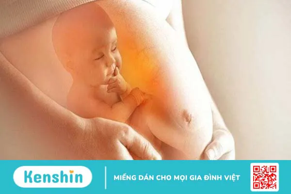 Công dụng và cách dùng Vitamin B6 cho bà bầu