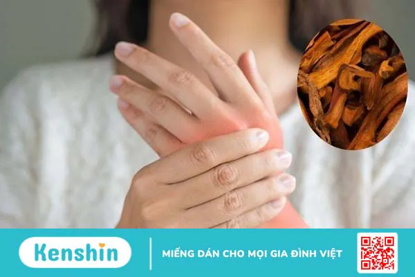 Cốt toái bổ có tác dụng gì? Công dụng và liều dùng cốt toái bổ