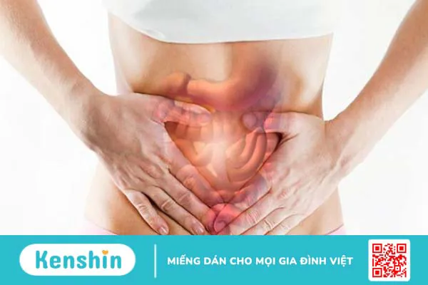 Củ bình vôi có tác dụng gì? Xem ngay 5 lợi ích sức khỏe sau