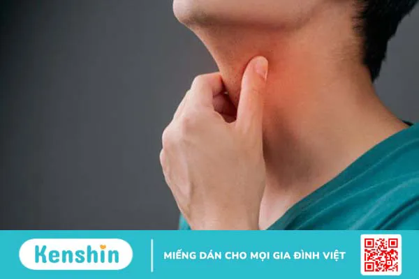 Củ bình vôi có tác dụng gì? Xem ngay 5 lợi ích sức khỏe sau