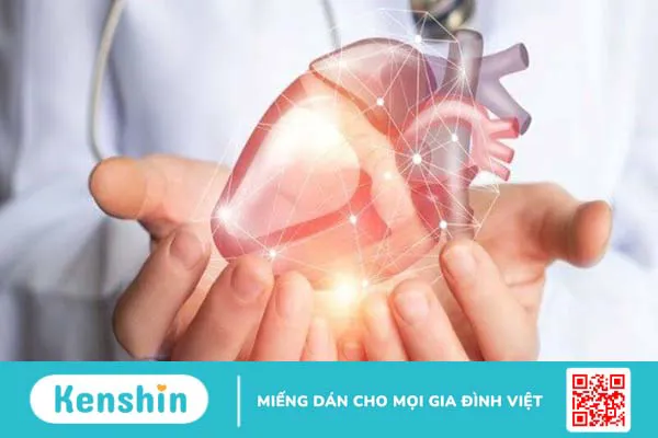 Củ nghệ tươi có tác dụng gì? 16 công dụng “vàng” của nghệ với sức khỏe