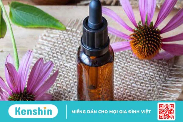 Cúc tím (Echinacea) có nên dùng cho trẻ em không?