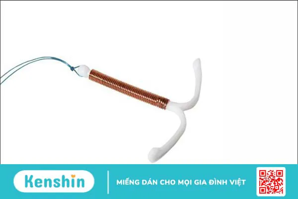 Đặt vòng tránh thai là gì, có mấy loại? Sau bao lâu thì quan hệ được