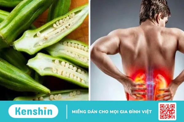 Đậu bắp bao nhiêu calo? Ăn đậu bắp có giảm cân không? Lưu ý khi ăn