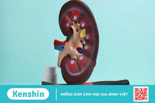 Đau bụng dưới ở phụ nữ: cảnh báo 19 nguyên nhân không thể xem thường