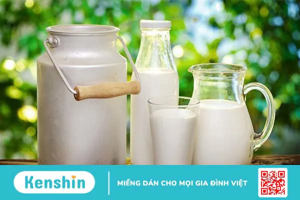 Đau bụng kiết lỵ nên ăn gì? 7 loại thực phẩm giúp nhanh hồi phục