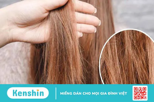 Dầu hạt lanh có thể chăm sóc tóc không?