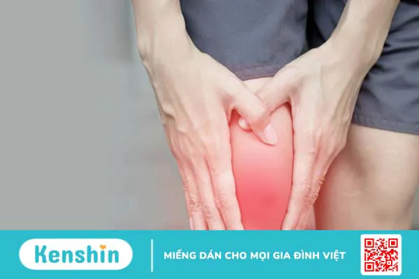 Dầu hạt lanh là gì? Lợi ích cho sức khoẻ của dầu hạt lanh