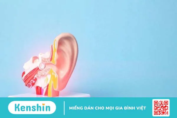 Dấu hiệu nhận biết bệnh giang mai sớm nhất qua các giai đoạn bệnh