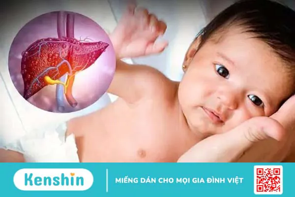 Dấu hiệu nhận biết bệnh giang mai sớm nhất qua các giai đoạn bệnh