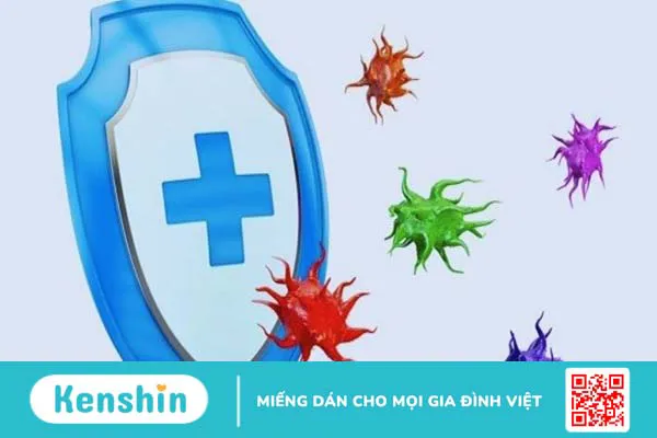 Dầu mù u có tác dụng gì? Mách bạn 9 tác dụng của dầu mù u