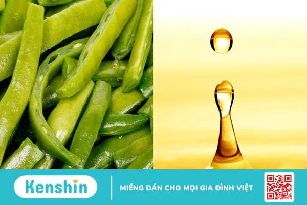 Đậu que bao nhiêu calo? Ăn đậu que có tốt không?